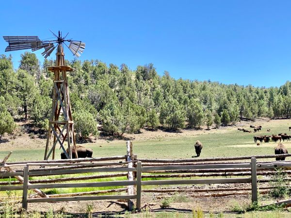 Mormon Pasture Mountain, Utah