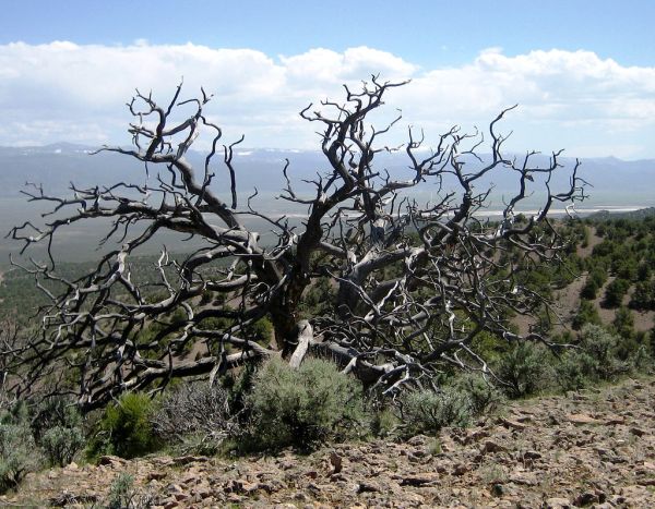 Jackrabbit Mountain photo 2