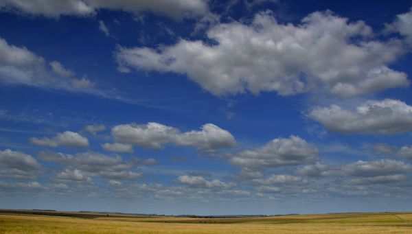 Paysandú photo 4