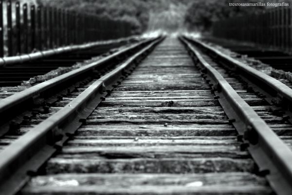 Nueva Helvecia photo 4