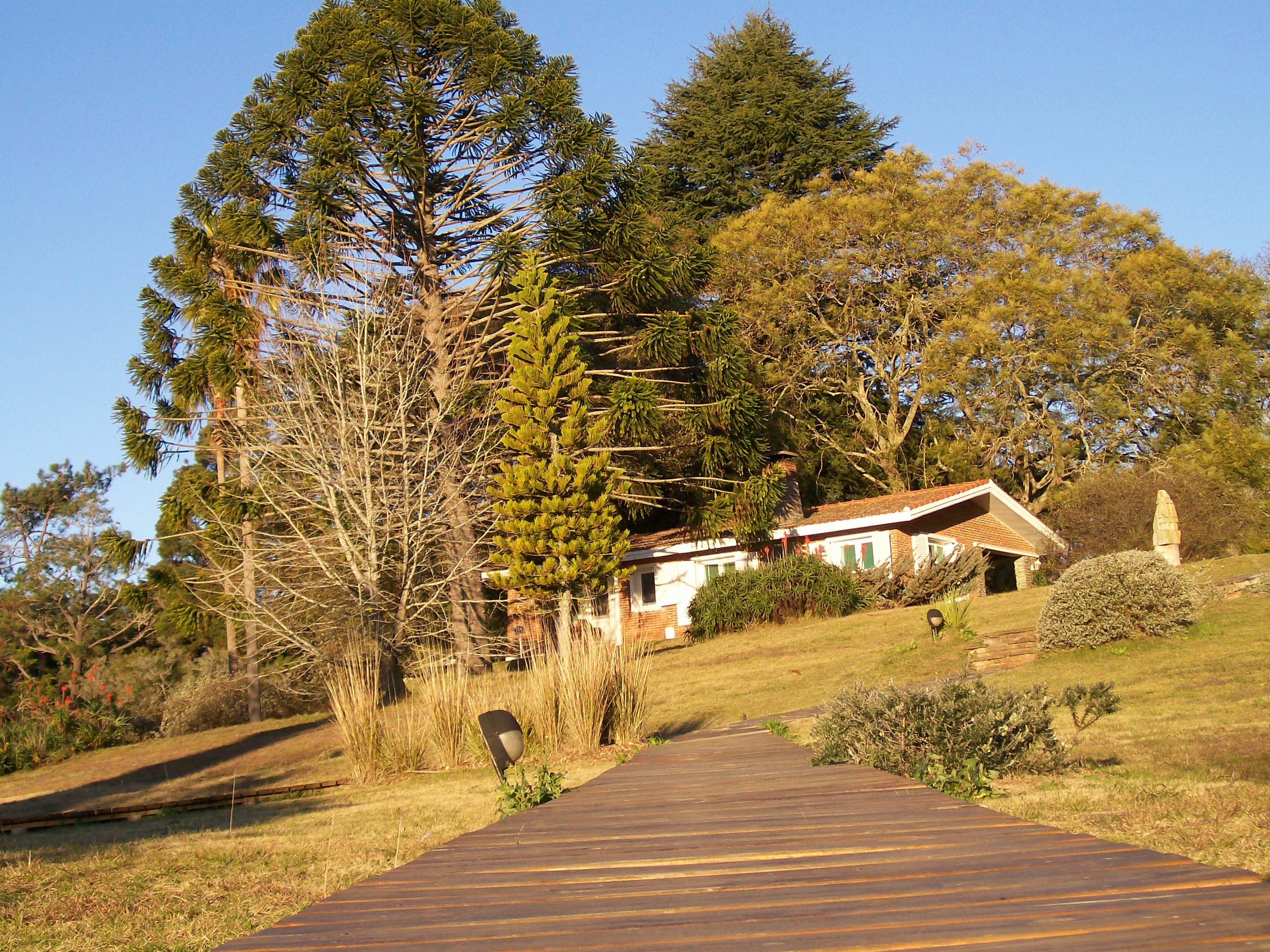 Minas photo 4