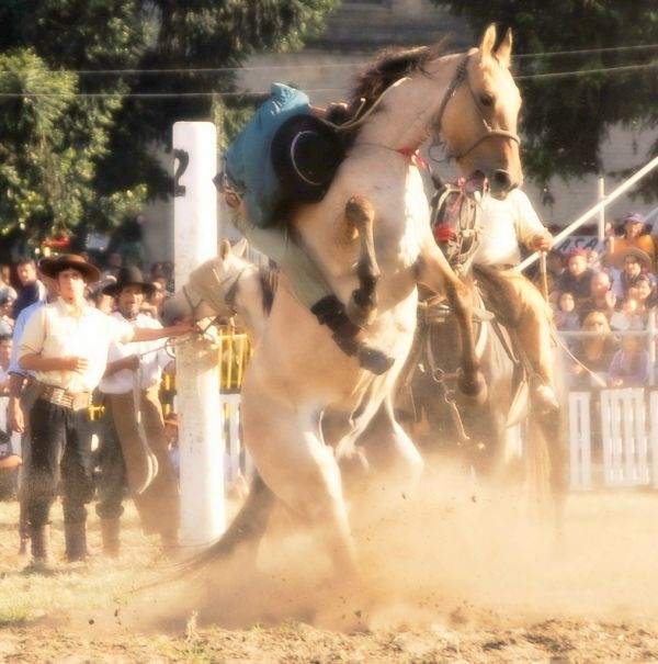San Carlos photo 3