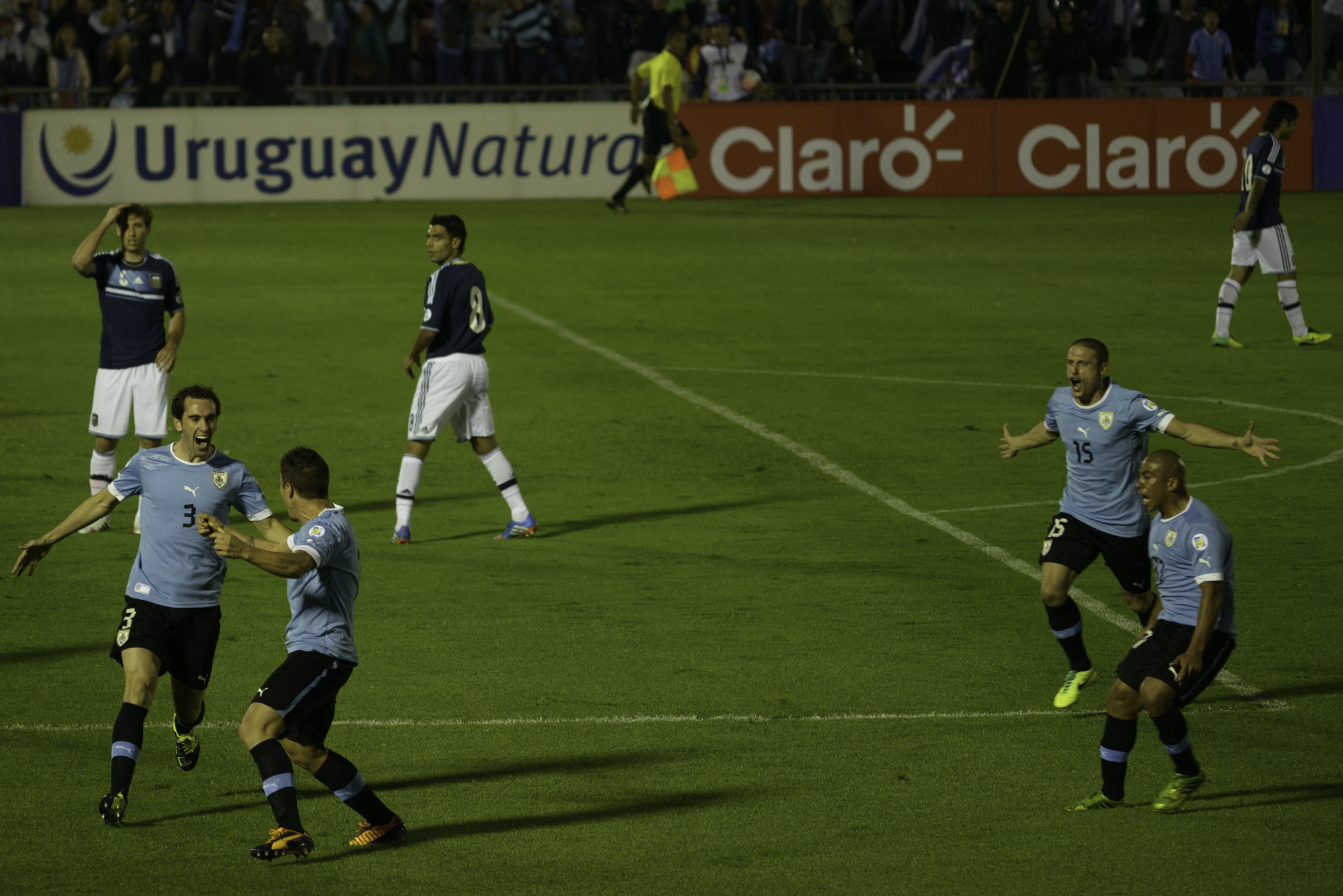 Rodríguez photo 4