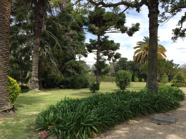 Nueva Helvecia, Colonia