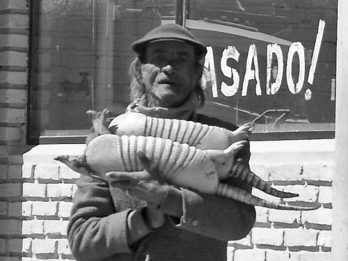 Cardona photo 3