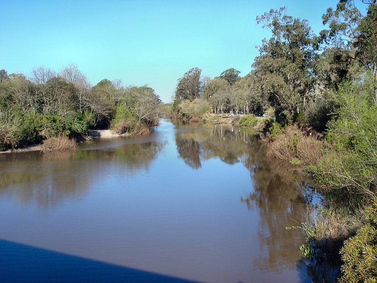 Pando photo 4