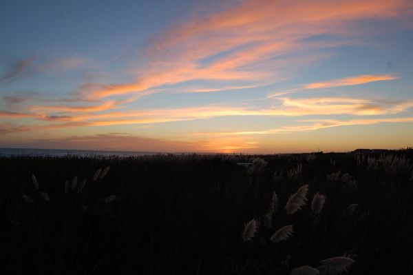 La Paloma photo 3