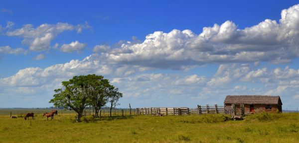 Las Toscas, Canelones